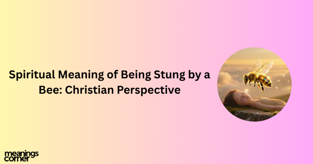 Spiritual Meaning of Being Stung by a Bee: Christian Perspective