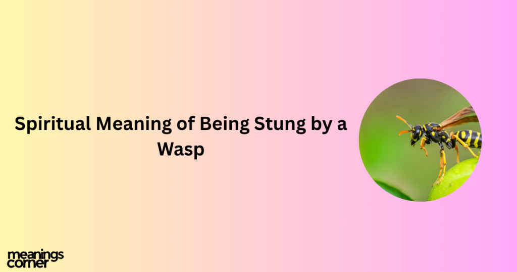 Spiritual Meaning of Being Stung by a Wasp