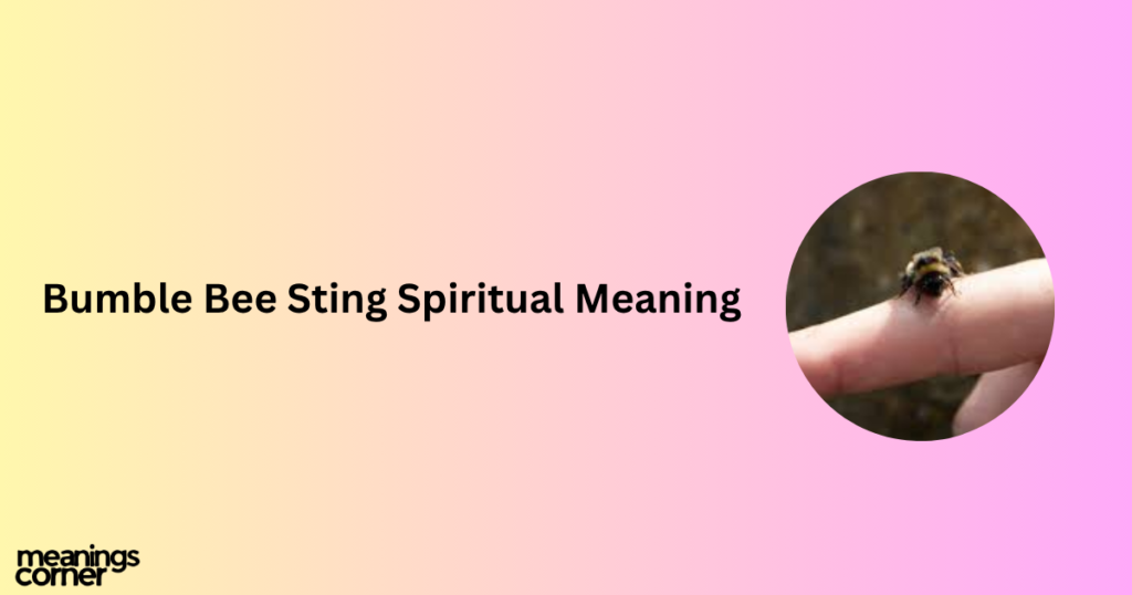 Bumble Bee Sting Spiritual Meaning