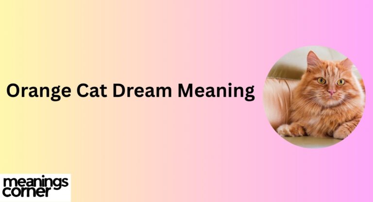 Orange Cat Dream Meaning