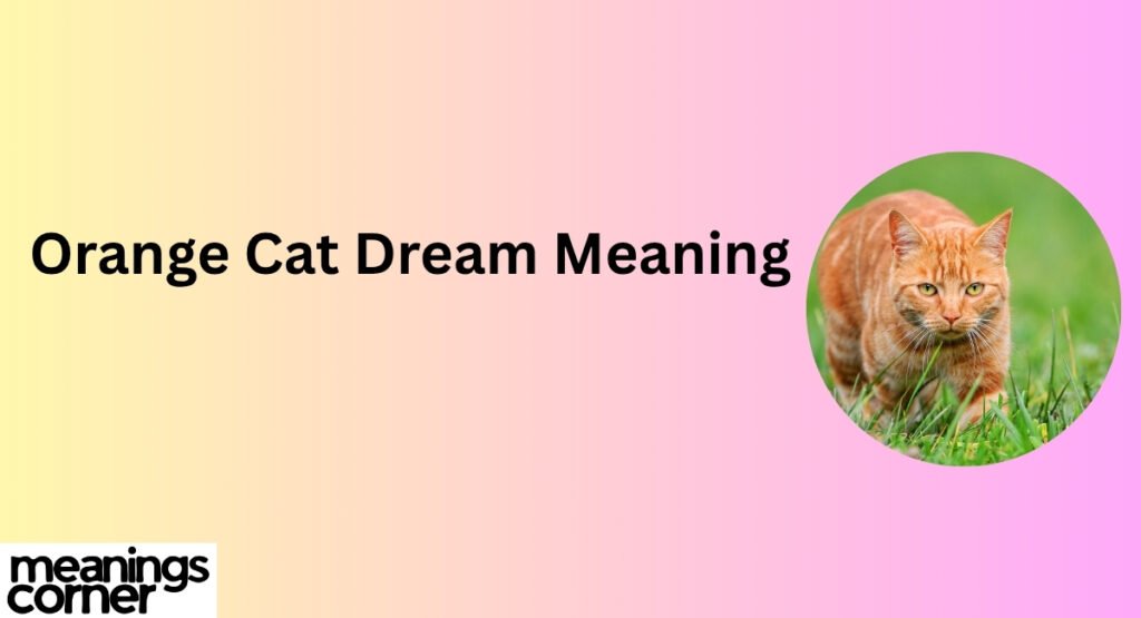 Orange Cat Dream Meaning