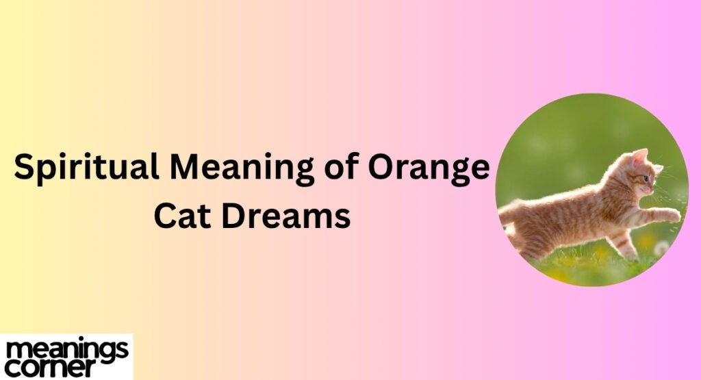 Spiritual Meaning of Orange Cat Dreams