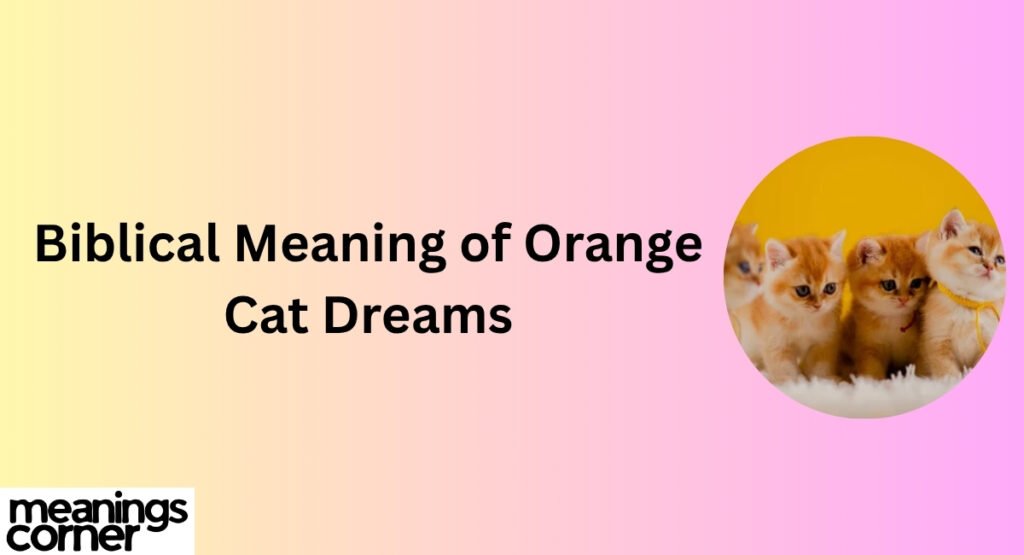 Biblical Meaning of Orange Cat Dreams