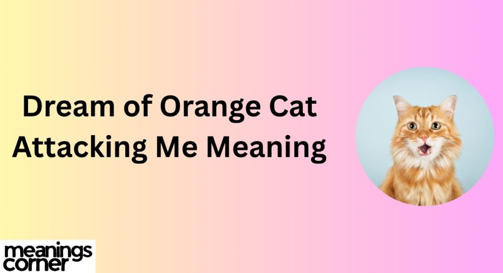 Dream of Orange Cat Attacking Me Meaning