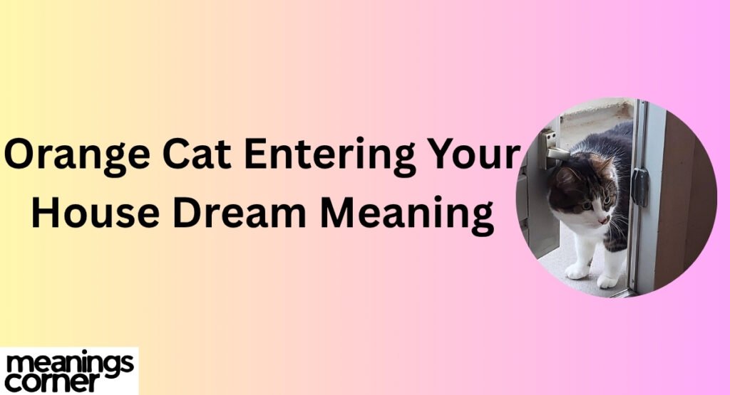Orange Cat Entering Your House Dream Meaning