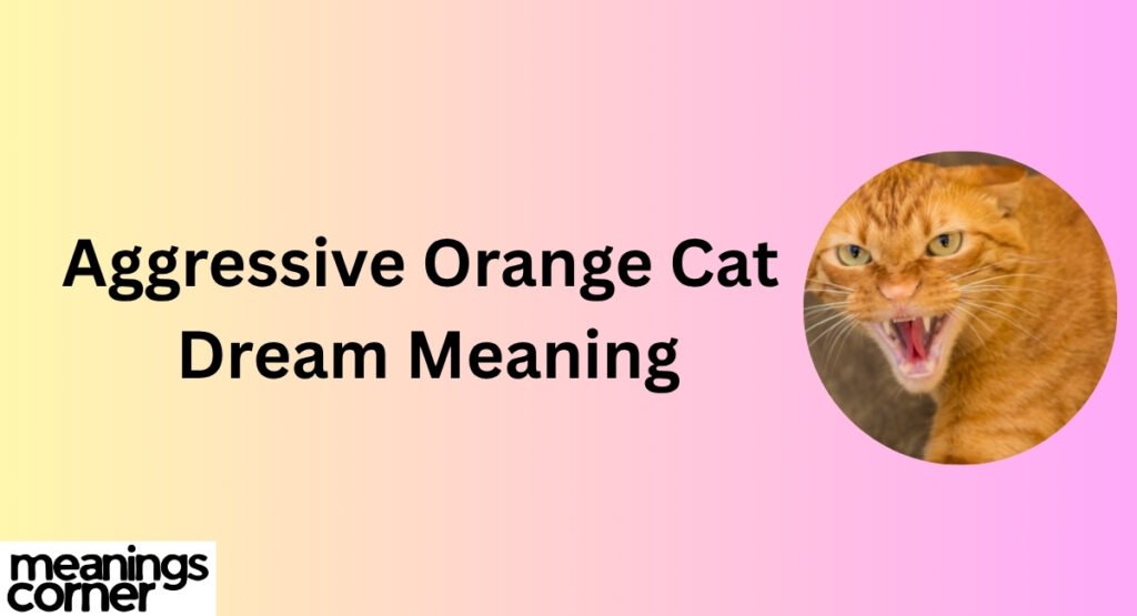 Aggressive Orange Cat Dream Meaning