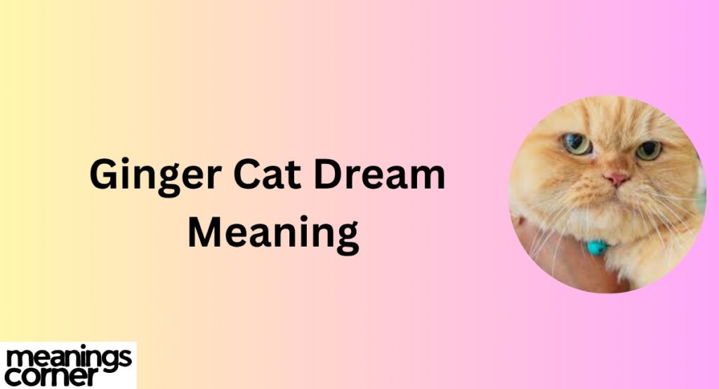 Ginger Cat Dream Meaning