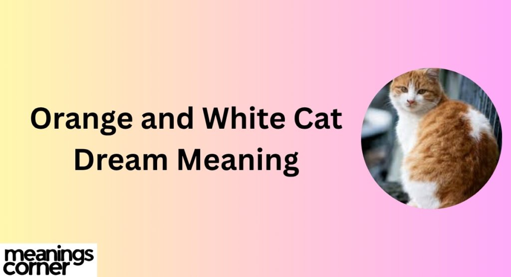 Orange and White Cat Dream Meaning