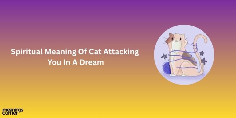 Spiritual Meaning Of Cat Attacking You In A Dream