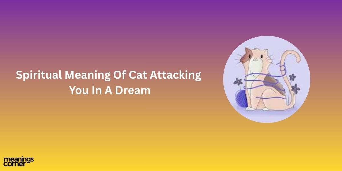 Spiritual Meaning Of Cat Attacking You In A Dream