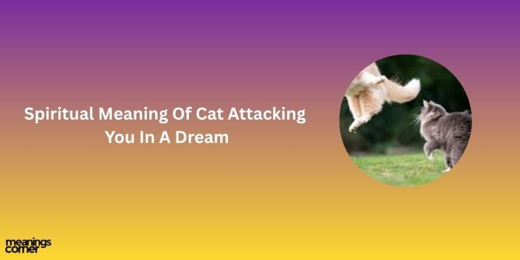 Spiritual Meaning Of Cat Attacking You In A Dream