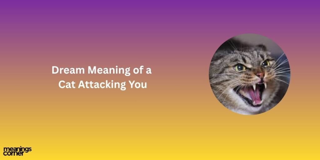 Dream Meaning of a Cat Attacking You