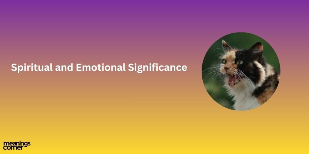 Spiritual and Emotional Significance