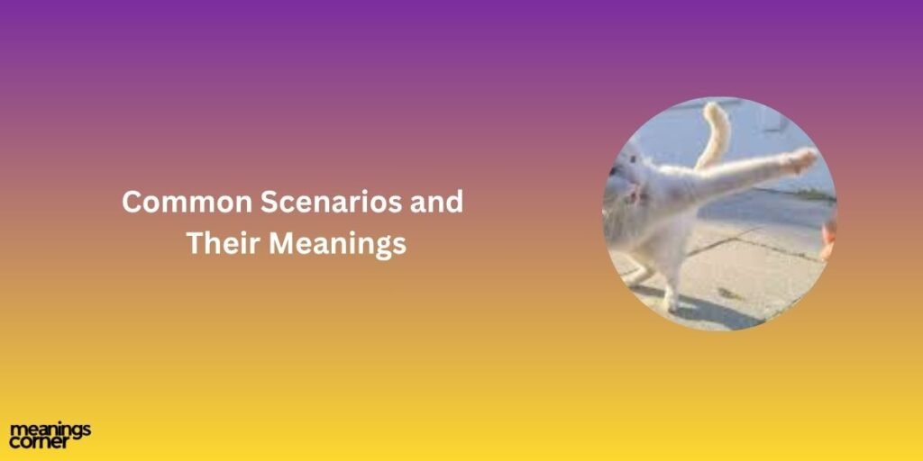 Common Scenarios and Their Meanings