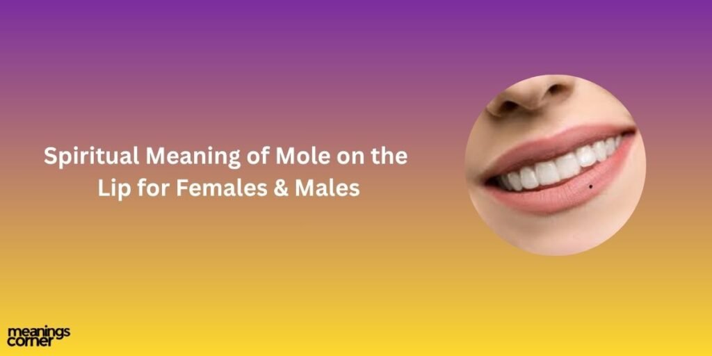 Spiritual Meaning of Mole on the
Lip for Females & Males