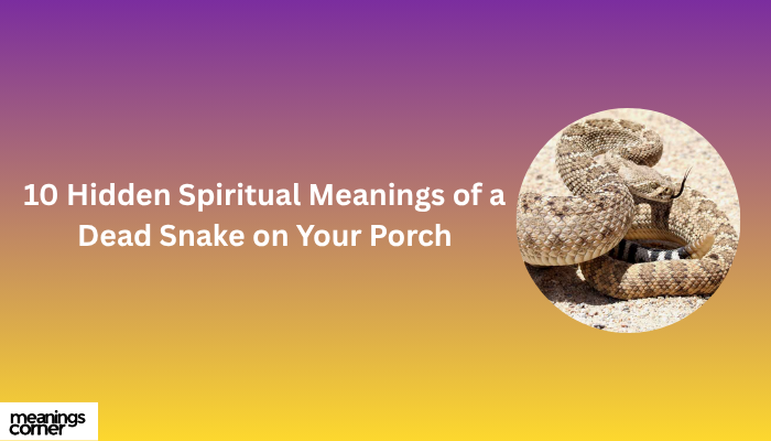 10 Hidden Spiritual Meanings of a Dead Snake on Your Porch