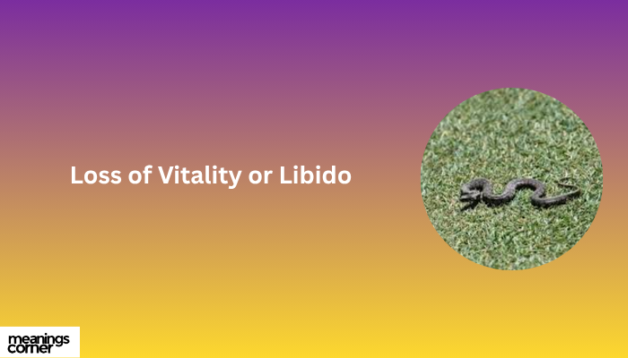 Loss of Vitality or Libido: Dead Snake on Your Porch