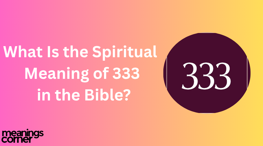 Biblical meaning of 333