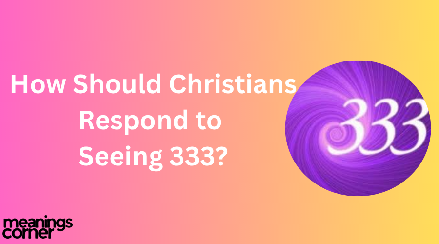 Biblical meaning of 333