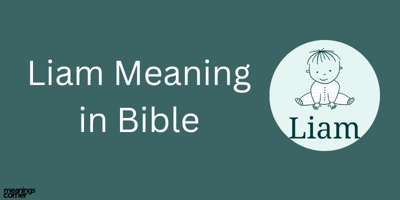 liam meaning in bible

