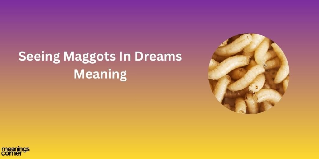 Seeing Maggots in dream meaning