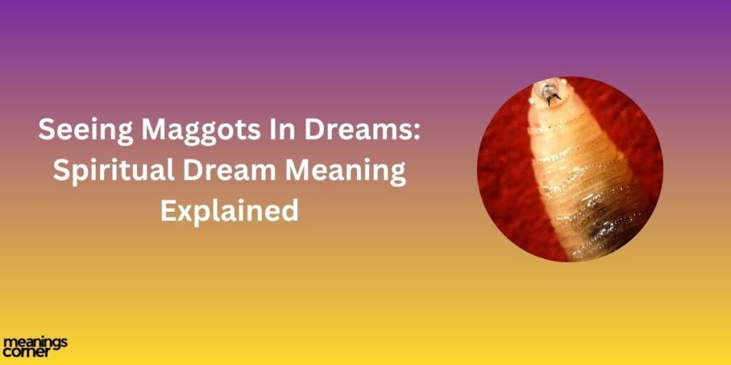 Seeing Maggots In Dreams: Spiritual Dream Meaning Explained
