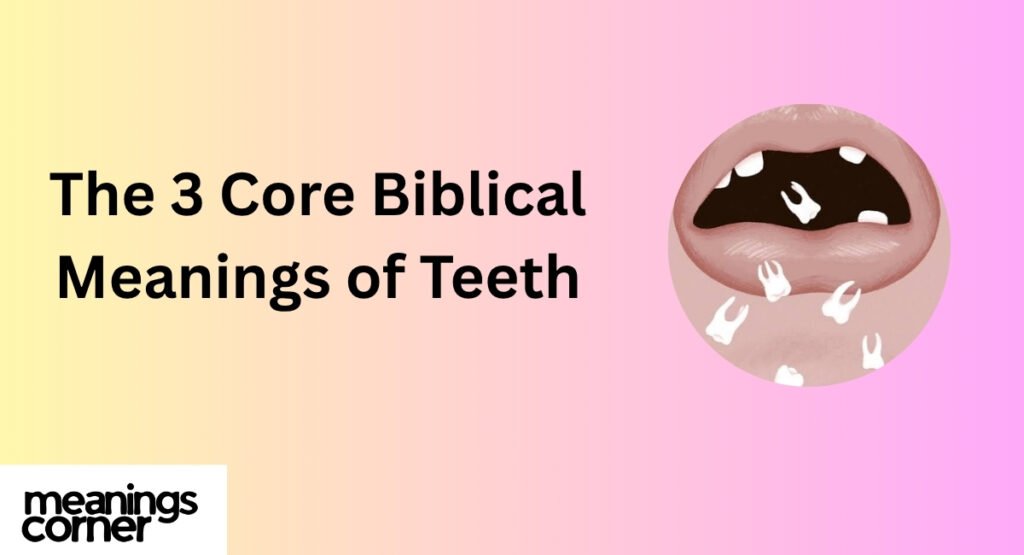 The 3 Core Biblical Meanings of Teeth