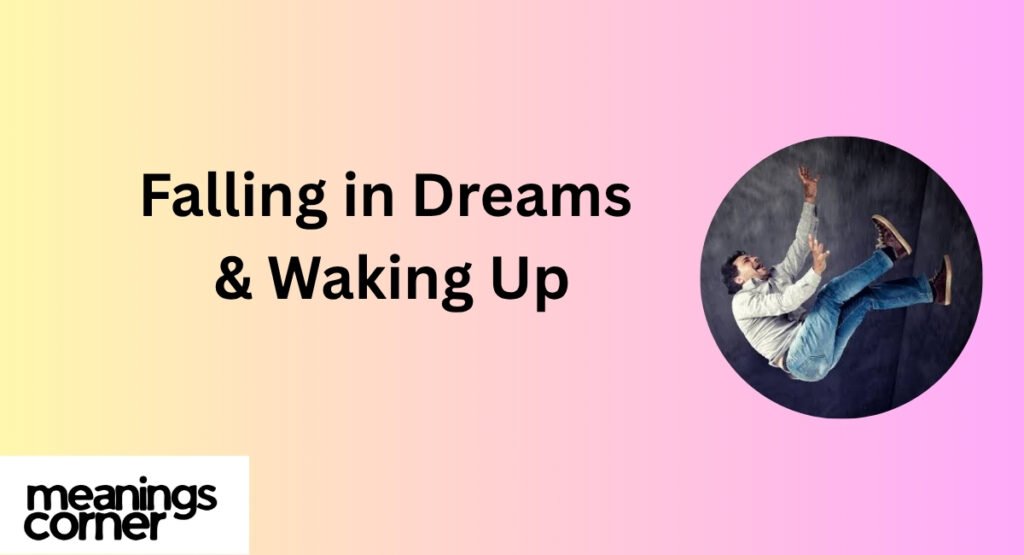 Falling in Dreams & Waking Up