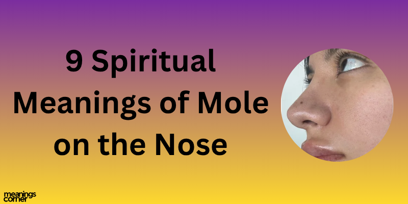 9 Spiritual Meanings of Mole on the Nose